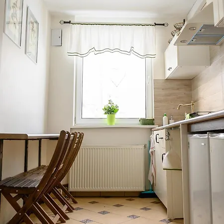 Goscinne Cykada シクラルスカ・ポレンバ